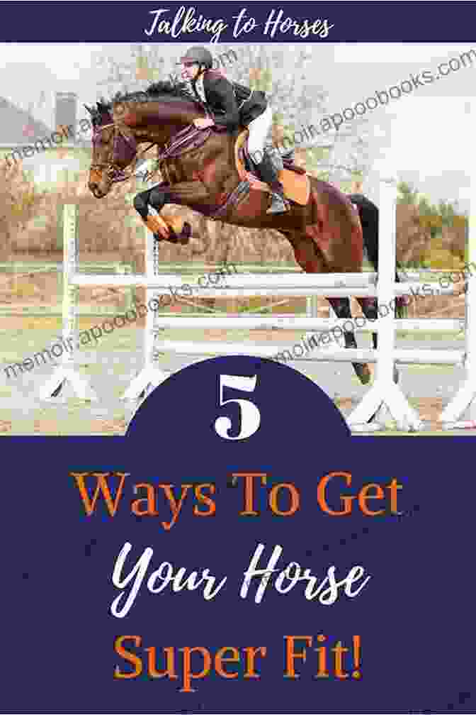 28 Secrets Of Trading With Fit Horses: Never Lose Book Cover 28 8 Secrets Of Trading With Fit Horses Never Lose?: How To Trade Successfully On Exchanges Rating Unfit Or Fit Horses