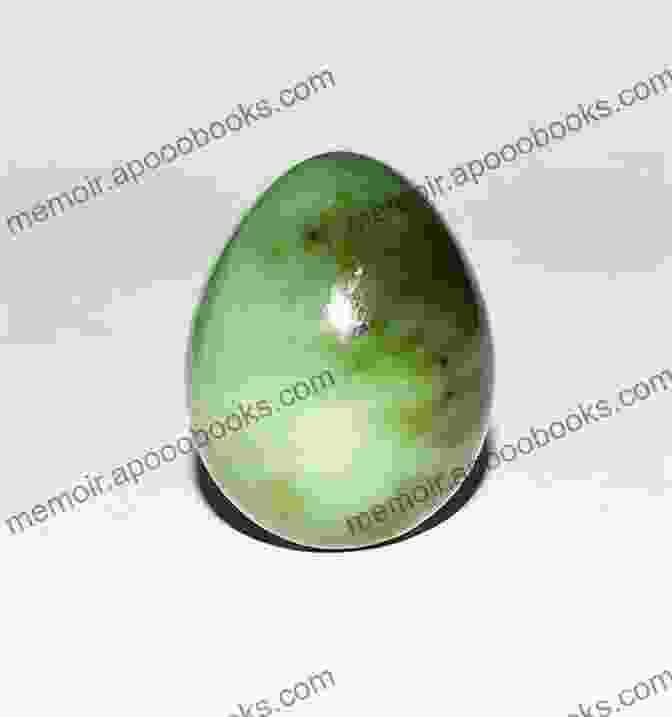 A Beautiful Green Jade Egg On A White Background The Jade Egg (The Chain Breaker 2)