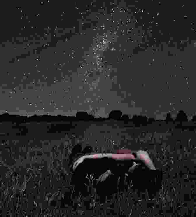 A Couple Lying On A Blanket In A Field, Gazing Up At The Stars. Manifesting Love: Real Life Love Stories Of Conscious Relationships Co Created With The Universe