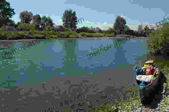 A Family Enjoys A Picnic On The Banks Of The Willamette River The Willamette River Field Guide