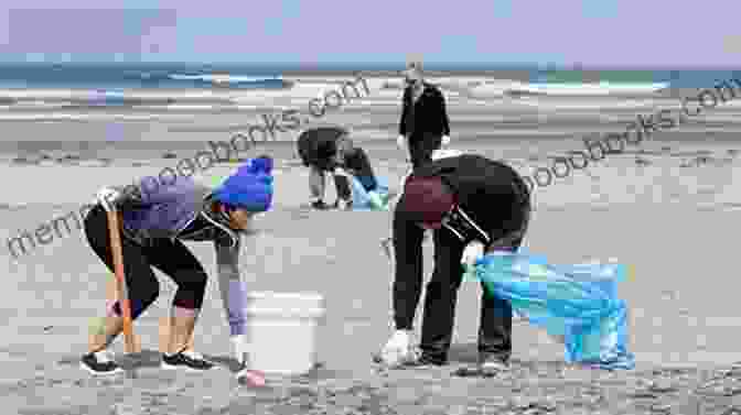 A Group Of Volunteers Engaged In A Beach Cleanup Oceans (Ecosystem) Jamie Ford