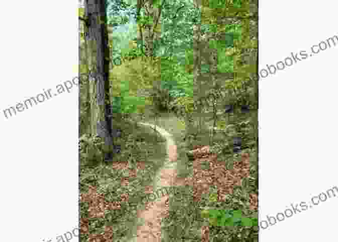 A Hiker Enjoying The Scenic Beauty Of A Trail In Shreveport's Surrounding Nature Insiders Guide To Shreveport (Insiders Guide Series)