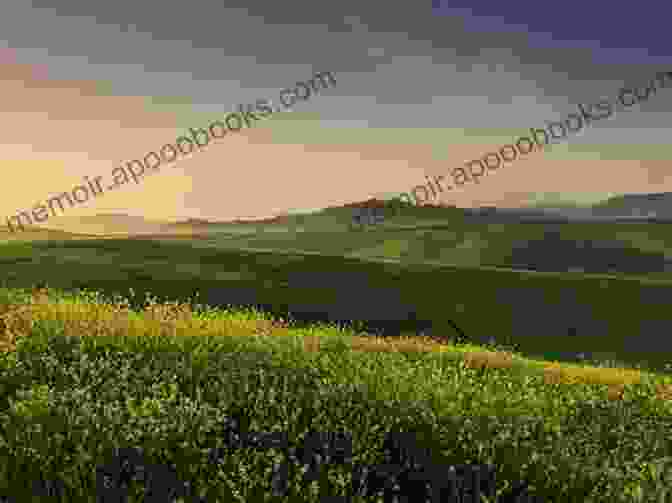 A Panoramic View Of Emerson Pass, With Rolling Hills, Lush Forests, And A River Running Through The Valley The Spinster (Emerson Pass Historicals 2)