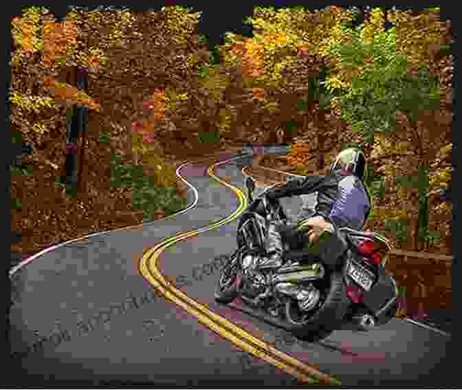 A Person Riding A Motorcycle On A Winding Road, Surrounded By Breathtaking Scenery How To Ride A Motorcycle And Experience True Freedom