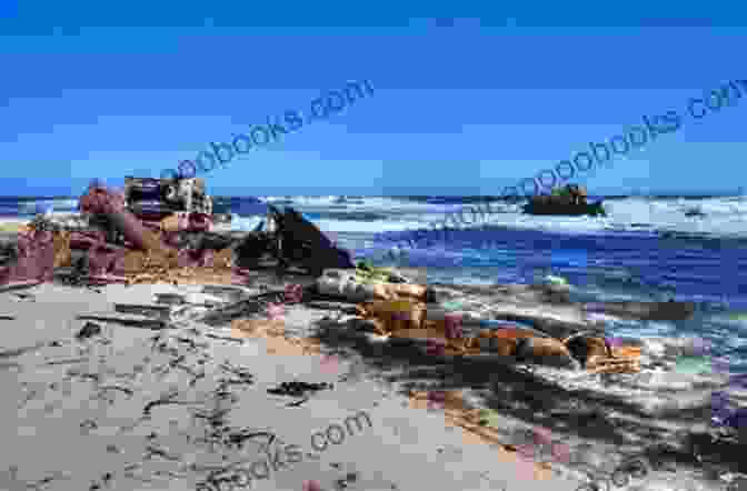 A Photo Of A Shipwreck On The Coast Of The Cape Of Good Hope, With Broken Masts And Scattered Debris. Rounding The Cape Of Good Hope: A Seventh Grade Play