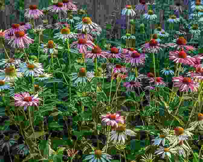 A Photograph Of A Person Planting Wildflowers, With The Caption 'Preserving The Buzz: Protecting Bees For The Future' The Buzzzzz Rag: The Premier Issue Volume 1 Issue 1