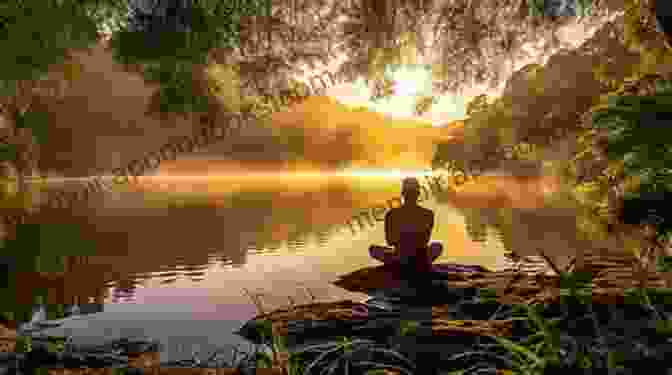 A Serene And Peaceful Image Of A Person Meditating In Nature, Surrounded By Sunlight And Lush Greenery. Every Day Is A Poem: Find Clarity Feel Relief And See Beauty In Every Moment