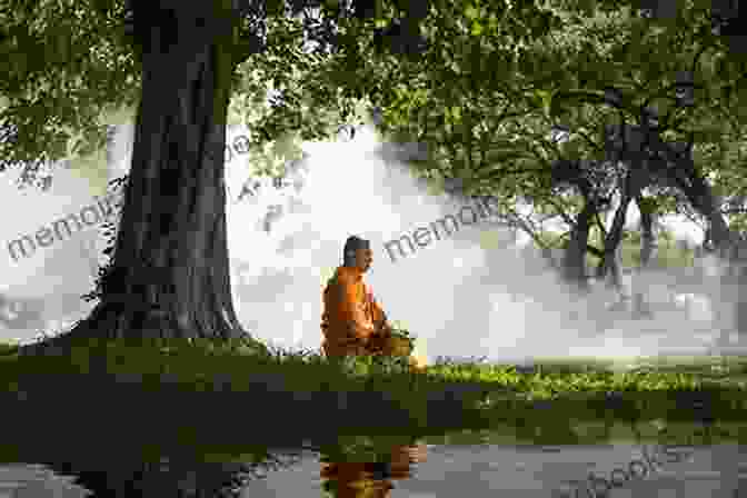 A Serene Image Of A Moonlit Forest, With A Single Person Sitting In Meditation Under A Tree. Haiku: Meditation At Night (A Haiku Collection 3)