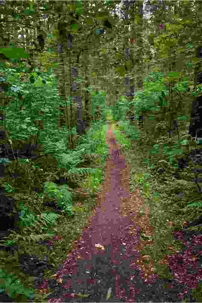 A Winding Path Meanders Through A Dense Forest, Leading To A Distant Clearing. Historic Highways Of America (Vol 7) Portage Paths The Keys Of The Continent