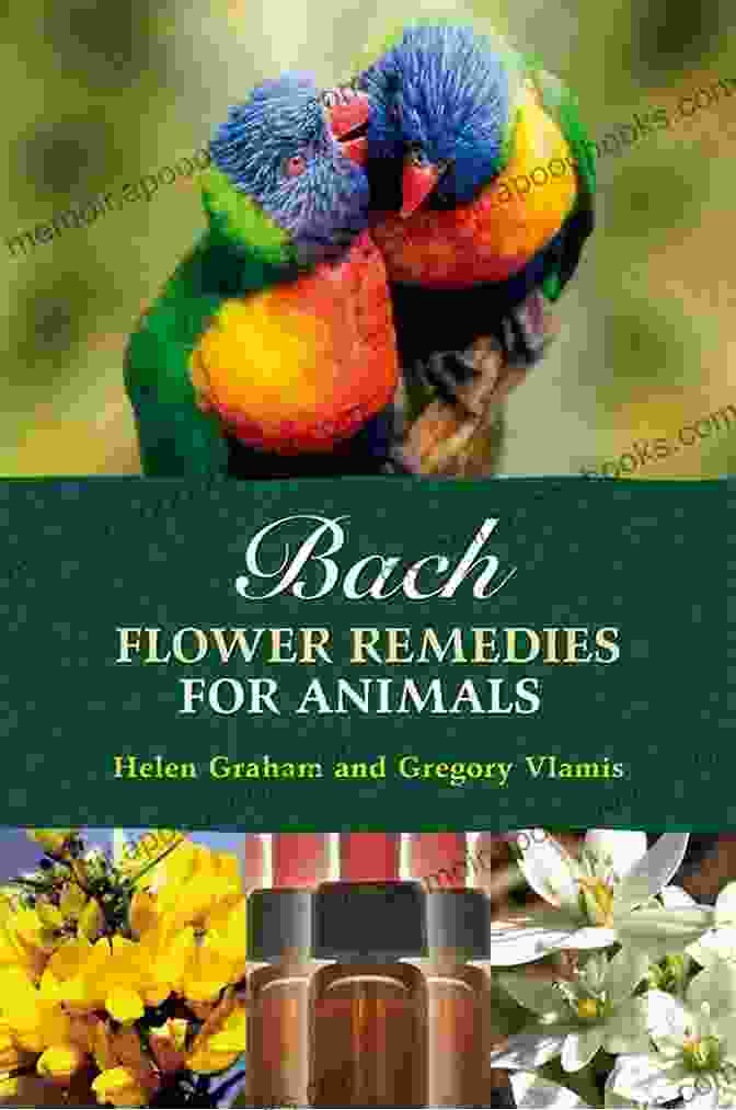 A Woman Holding A Book Titled Bach Flower Remedies For Cats And Dogs With A Cat And Dog Sitting Beside Her, Smiling Animals Have Feelings Too: Bach Flower Remedies For Cats And Dogs