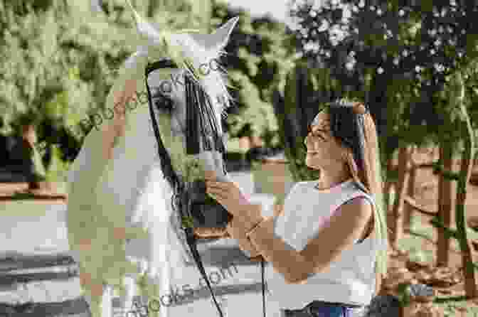 A Young Girl Gently Stroking The Face Of A Horse, Their Eyes Meeting In A Moment Of Connection Horses Are Stars Tom Thelen