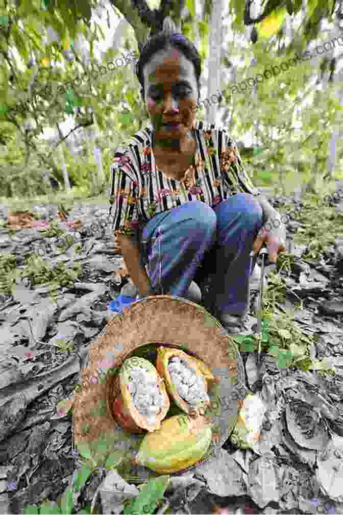 A Young Woman Stands Amidst A Lush Cocoa Plantation, Her Gaze Lost In A World Of Shadows And Secrets Trouble In The Land Of Cocoa