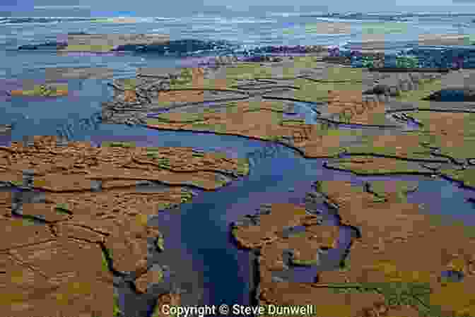 Aerial View Of The Mystic River's Estuary, With Marshes And The Boston Skyline In The Distance The Mystic River A Natural And Human History And Recreation Guide