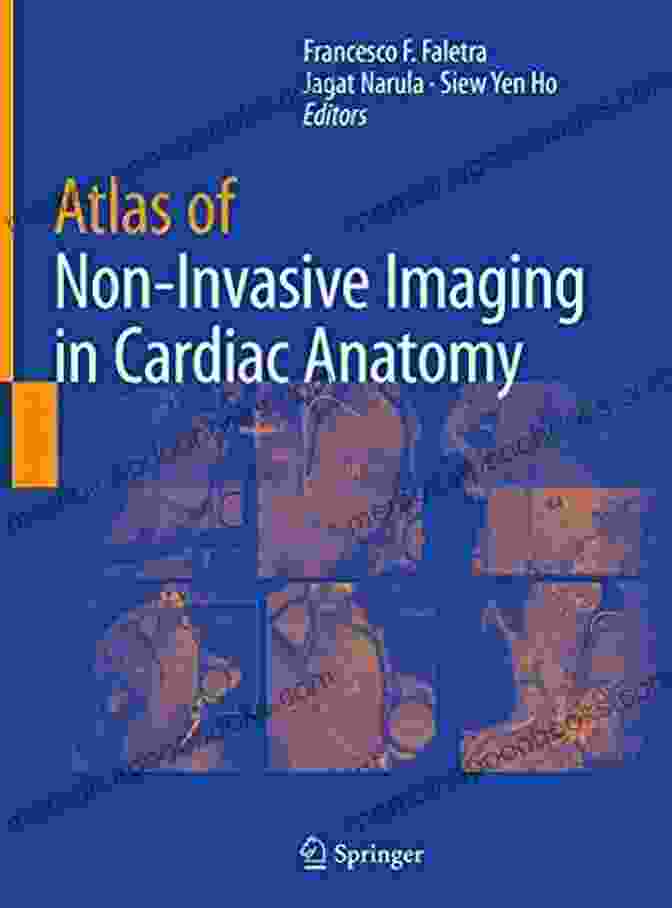 Atlas Of Non Invasive Imaging In Cardiac Anatomy PET Atlas Of Non Invasive Imaging In Cardiac Anatomy