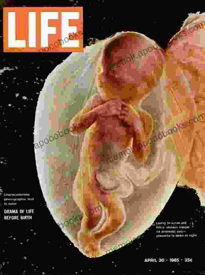 Book Cover Of 'From Fetal Life To Adulthood' With A Photograph Of A Pregnant Woman And A Baby Cardiac Catheterization For Congenital Heart Disease: From Fetal Life To Adulthood