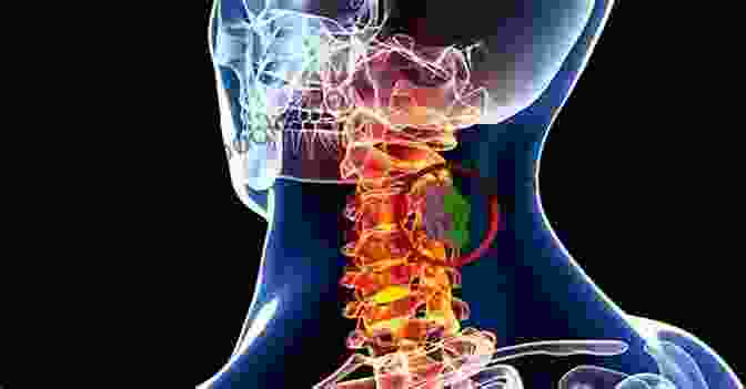 Brain And Spine Tumor Treatment Guide Image Guided Hypofractionated Stereotactic Radiosurgery: A Practical Approach To Guide Treatment Of Brain And Spine Tumors