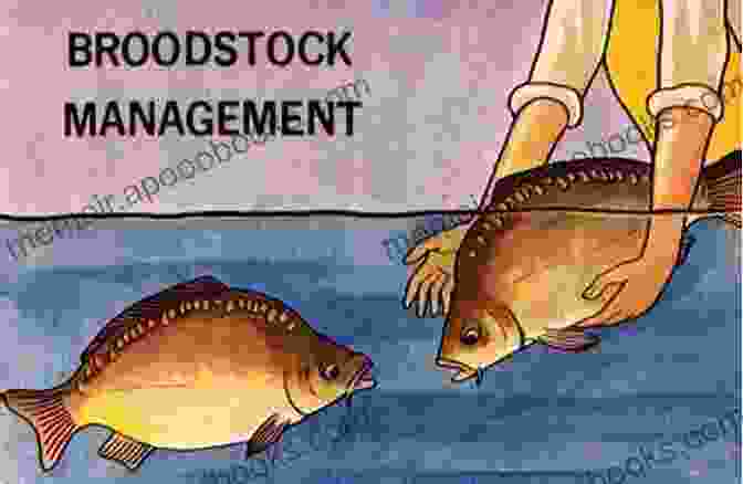 Broodstock Management And Nutrition Success Factors For Fish Larval Production