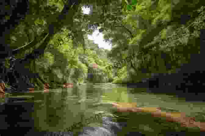 Flowing River With Lush Greenery Water And Life: Poems In English And Italian