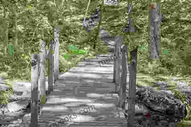 Hikers Enjoying A Trail Along The Mystic River, Surrounded By Lush Vegetation The Mystic River A Natural And Human History And Recreation Guide