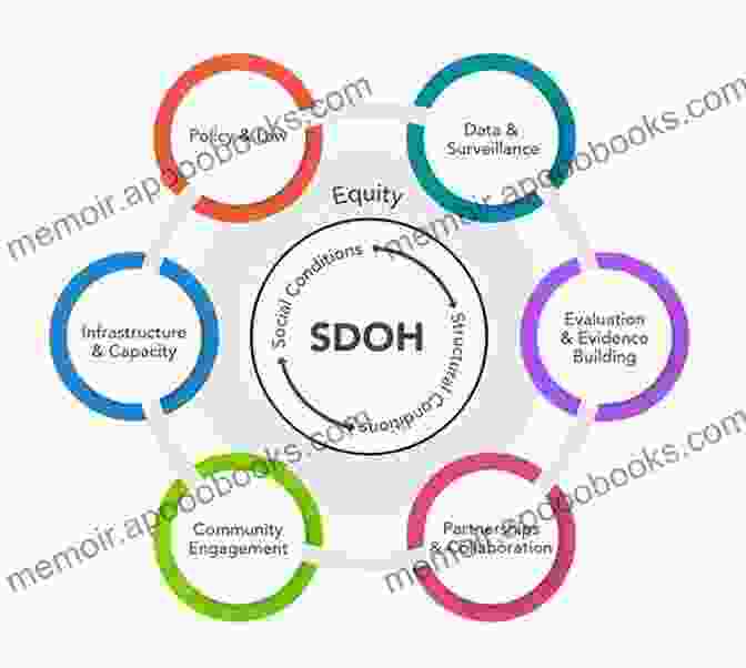 Image Highlighting The Link Between Culture And Social Determinants Of Health Culture Biology And Anthropological Demography (New Perspectives On Anthropological And Social Demography 3)