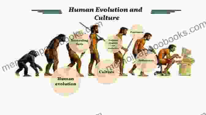 Image Illustrating The Co Evolution Of Culture And Biology Culture Biology And Anthropological Demography (New Perspectives On Anthropological And Social Demography 3)