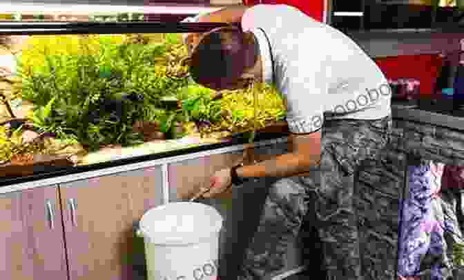 Image Of A Person Performing Aquarium Maintenance The Beginner S Guide To A New Aquarium