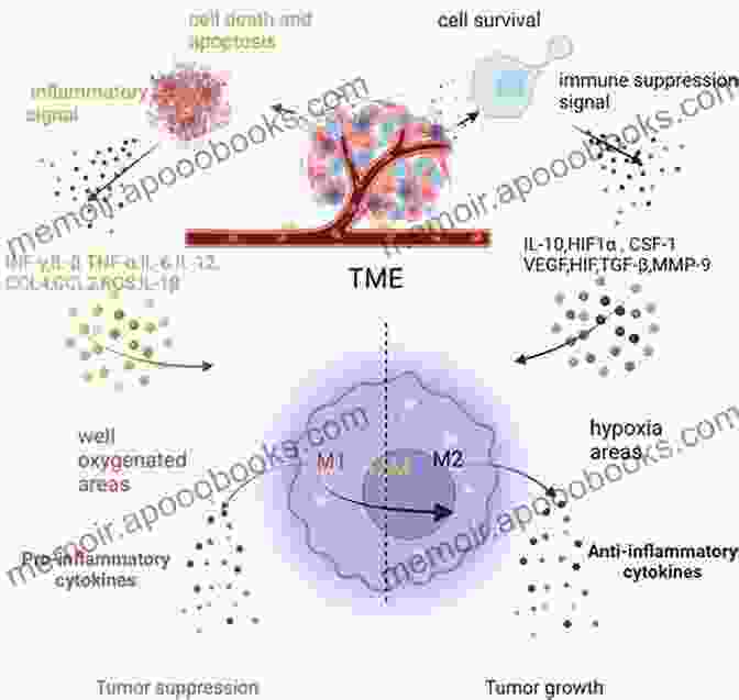 Inflammatory Microenvironment And Anti Inflammatory Drugs Prospects For Chemoprevention Of Colorectal Neoplasia: Emerging Role Of Anti Inflammatory Drugs (Recent Results In Cancer Research 191)