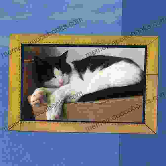 Mildred The Cat In Humbugged Happy Cat Humbugged (Happy Cat 4) Pippa Grant