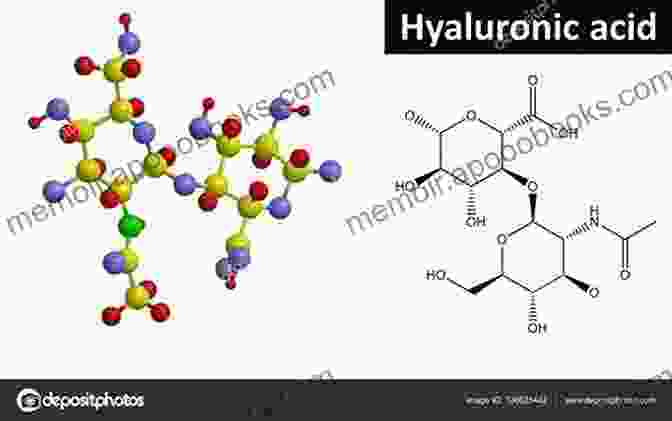 Molecular Structure Of Hyaluronic Acid, A Common Injectable Filler Illustrated Manual Of Injectable Fillers: A Technical Guide To The Volumetric Approach To Whole Body Rejuvenation (Series In Cosmetic And Laser Therapy)