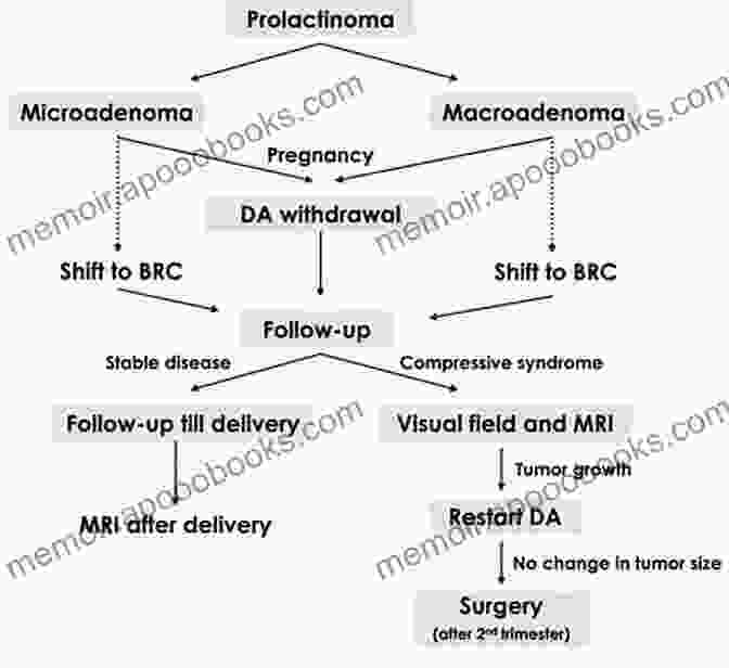 Prognosis For Pituitary Tumors In Pregnancy Pituitary Tumors In Pregnancy (Endocrine Updates 15)