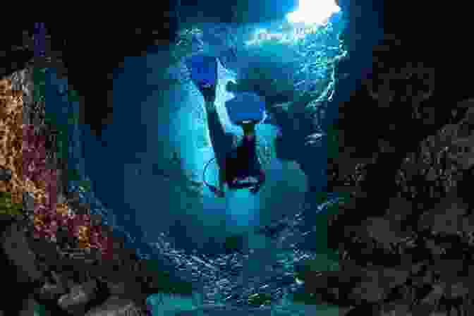 Tyson Wild Scuba Diving In The Caribbean Sea, Surrounded By Vibrant Coral Reefs And Marine Life Wild Target: A Coastal Caribbean Adventure (Tyson Wild Thriller 36)