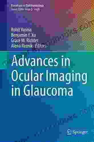 Posterior Uveitis: Advances In Imaging And Treatment (Essentials In Ophthalmology)