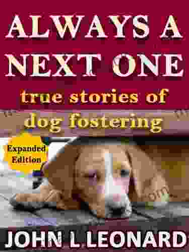 Always A Next One (true Stories Of Dog Fostering)