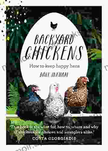 Backyard Chickens: How to keep happy hens