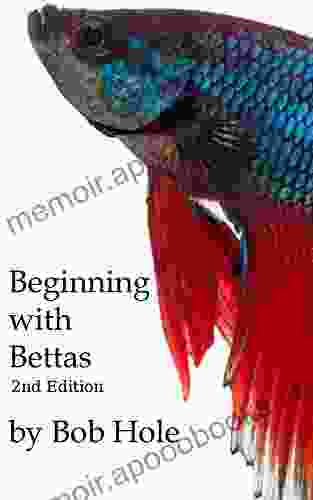 Beginning with Bettas Bob Hole