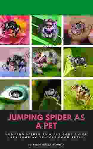 JUMPING SPIDER AS A PET: Jumping Spider as a Pet Care Guide (Are jumping spiders good pets?)