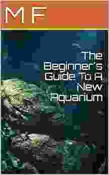 The Beginner s Guide To A New Aquarium