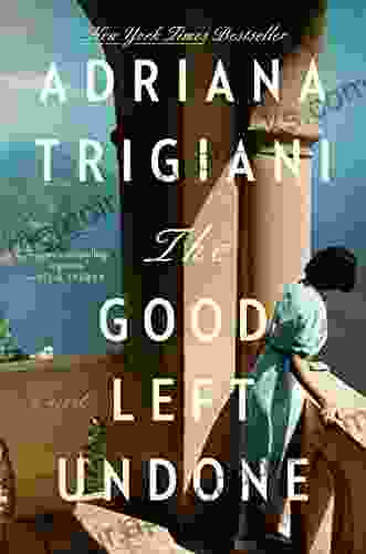 The Good Left Undone: A Novel