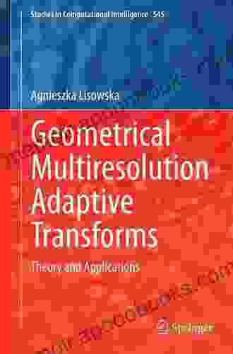 Geometrical Multiresolution Adaptive Transforms: Theory And Applications (Studies In Computational Intelligence 545)