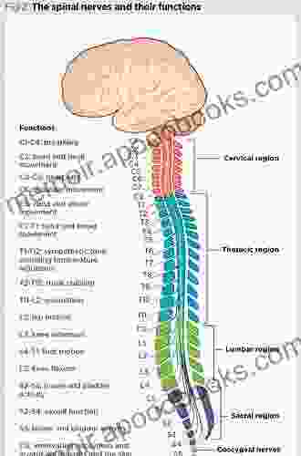 Atlas of Neurosurgical Techniques: Spine and Peripheral Nerves