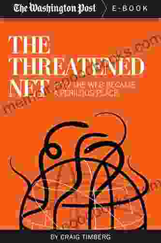 The Threatened Net: How the Web Became a Perilous Place